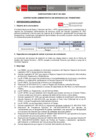 Vista preliminar de documento BASES CAS N° 001-2025