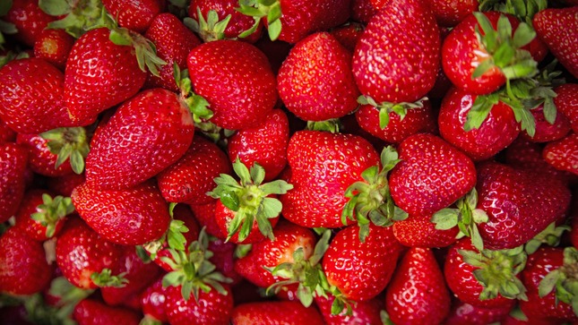 Hoy en los mercados mayoristas hay ofertas en vainita, haba, choclo, fresa, naranja, papaya y otros