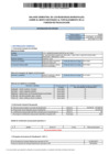 Vista preliminar de documento BALANCE SEMESTRAL JULIO-DICIEMBRE 2024