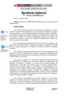 Vista preliminar de documento Resolucion Jefatural N 025-2025