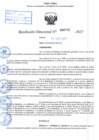 Vista preliminar de documento R.D N° 592-2025