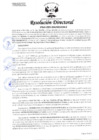 Vista preliminar de documento RESOLUCION 049-2025