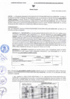 Vista preliminar de documento 138