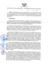 Vista preliminar de documento GRRNYGMA.023