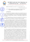 Vista preliminar de documento RESOLUCION 153