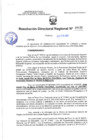 Vista preliminar de documento 00436 RDR 2024 RECTIFICAR LOS ALCANCES DEL ARTICULO PRIMERO DE LA RDR N° 00985 DEL 2009 JANETH FLOR DE MARIA NOREÑA FIGUEROA