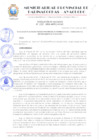 Vista preliminar de documento RESOLUCION 155