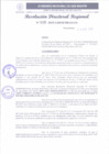Vista preliminar de documento RDR 115-2025