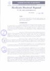 Vista preliminar de documento RDR 118-2025