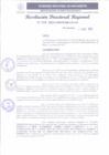 Vista preliminar de documento RDR 119-2025