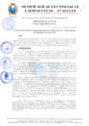 Vista preliminar de documento RESOLUCION 160