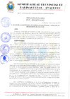 Vista preliminar de documento RESOLUCION 161