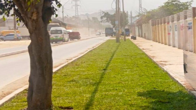 Áreas verdes y sardineles en la Avenida Las Torres