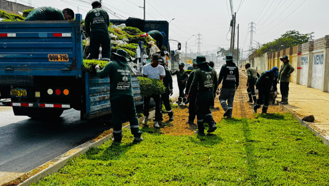 Personal de áreas verdes trabajando