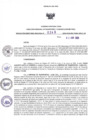 Vista preliminar de documento RDR N°246-2025-02-04-2025