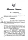 Vista preliminar de documento RD N° 133-2025