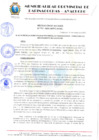 Vista preliminar de documento RESOLUCION 172