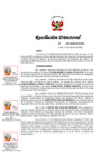 Vista preliminar de documento RD.Nro.221-2025-IN-OGRH