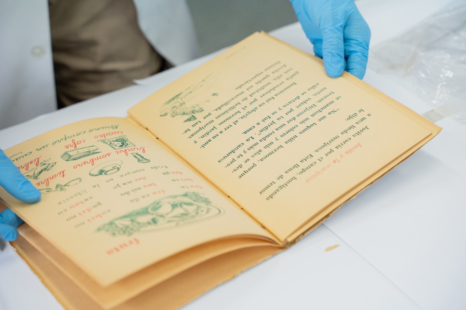 Patrimonio Cultural de la Nación a una unidad bibliográfica de la obra ‘Coquito’