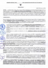 Vista preliminar de documento 0294 - 2025