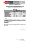 Vista preliminar de documento CAS N° 025-2025 - RESULTADO FINAL
