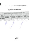 Vista preliminar de documento CUADRO DE MERITOS_ESPECIALISTA EN MEDIO AMBIENTE_DDA