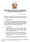 Vista preliminar de documento Resolución de la Dirección Técnica Registral n.° 012-2025-SUNARP/DTR