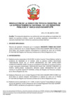 Vista preliminar de documento Resolución de la Dirección Técnica Registral n.° 013-2025-SUNARP/DTR