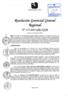 Vista preliminar de documento RGGR 111-2025-GRL-GGR