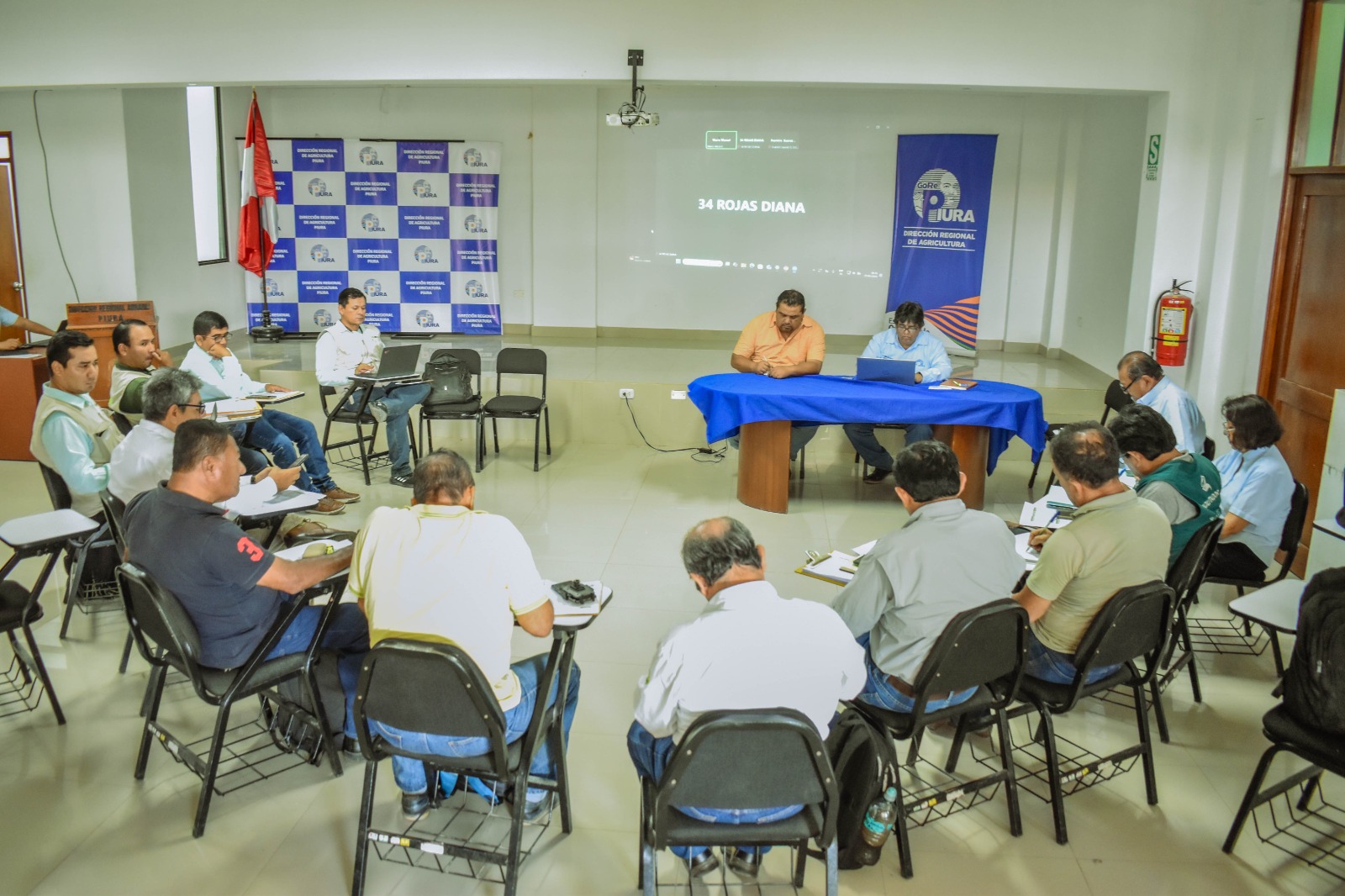 GORE promueve recuperación del cultivo de algodón con acompañamiento y asistencia técnica a productores