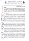 Vista preliminar de documento 0117-2025RG