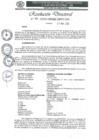 Vista preliminar de documento RD-040-2025-GRSM-DRTC-D0