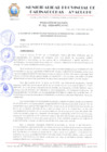 Vista preliminar de documento RESOLUCION 195