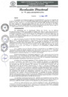 Vista preliminar de documento RD-041-2025-GRSM-DRTC-D0