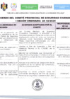 Vista preliminar de documento Acuerdo de Comite Provincial de Seguridad Ciudadana ISesion Ordinaria