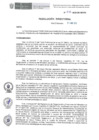 Vista preliminar de documento RD-136-2025-DE-HEVES