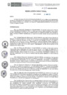 Vista preliminar de documento RD-135-2025-DE-HEVES