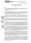 Vista preliminar de documento RD-131-2025-DE-HEVES