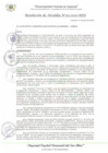 Vista preliminar de documento RA_101_2025_MDI