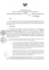 Vista preliminar de documento RDR N°253-2025-02-04-2025