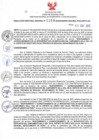 Vista preliminar de documento RDR N°258-2025-03-04-2025