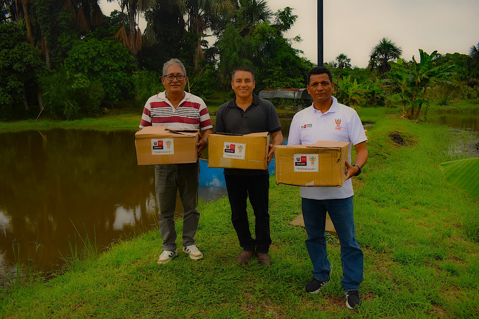 cajas
