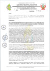 Vista preliminar de documento RESOLUCION N 207