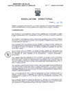 Vista preliminar de documento RD N° 011-COMITE MULTIDISCIPLINARIO