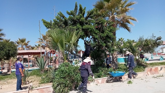 imagen mantenimiento1
