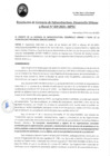 Vista preliminar de documento RGEIDUR029-2025