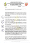 Vista preliminar de documento RESOLUCION N 202