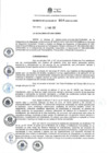 Vista preliminar de documento DEC-2025-004-ALC/MSI	