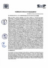 Vista preliminar de documento A.C N° 005-2025
