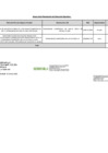 Vista preliminar de documento Anexo de la RDE 3RFF